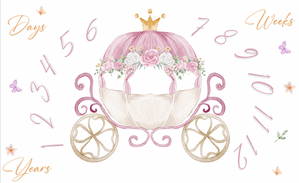 princess carriage milestone blanket